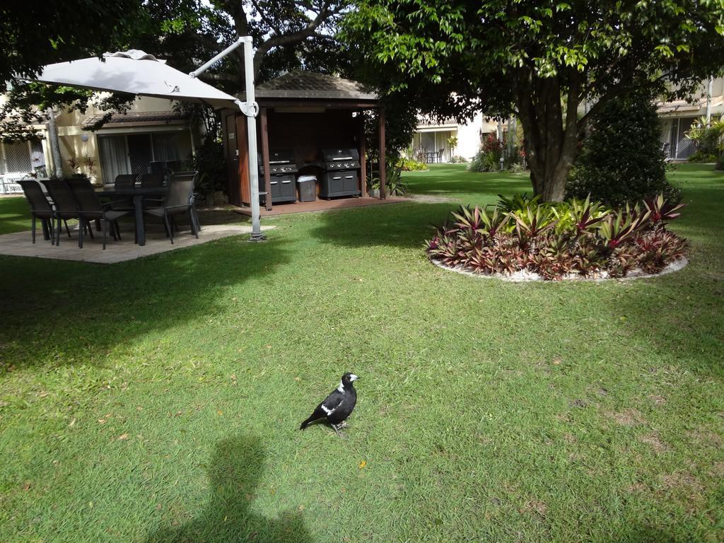Noosa Gardens Riverside Resort Нусавиль Номер фото